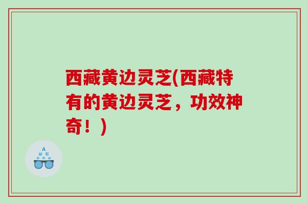 西藏黄边灵芝(西藏特有的黄边灵芝，功效神奇！)