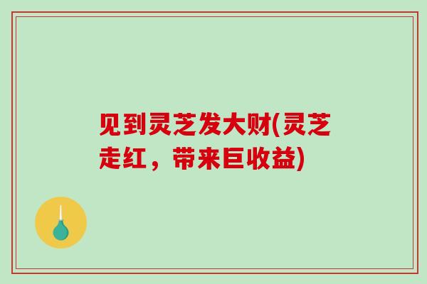 见到灵芝发大财(灵芝走红，带来巨收益)