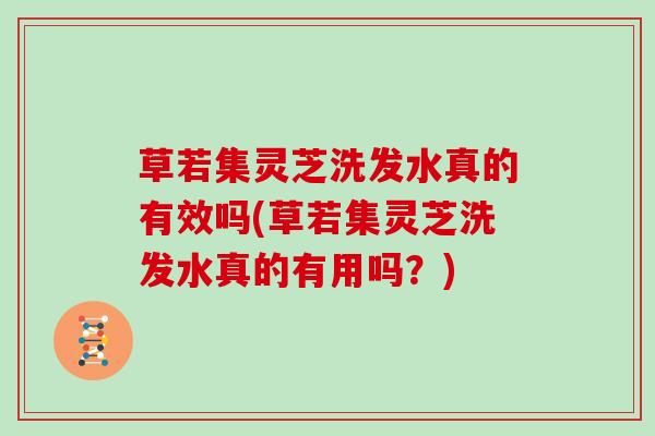 草若集灵芝洗发水真的有效吗(草若集灵芝洗发水真的有用吗？)