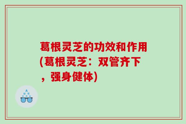 葛根灵芝的功效和作用(葛根灵芝：双管齐下，强身健体)