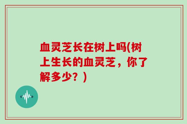 灵芝长在树上吗(树上生长的灵芝，你了解多少？)