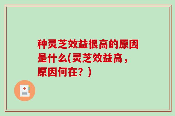 种灵芝效益很高的原因是什么(灵芝效益高，原因何在？)