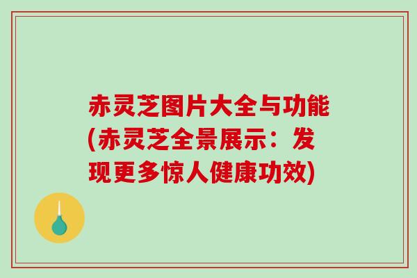 赤灵芝图片大全与功能(赤灵芝全景展示：发现更多惊人健康功效)