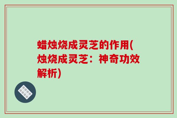 蜡烛烧成灵芝的作用(烛烧成灵芝：神奇功效解析)