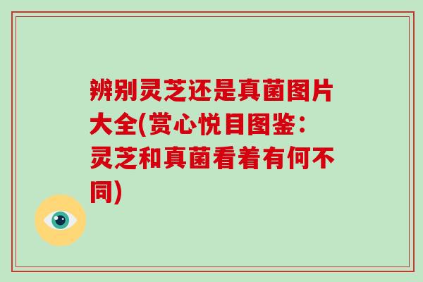 辨别灵芝还是真菌图片大全(赏心悦目图鉴：灵芝和真菌看着有何不同)