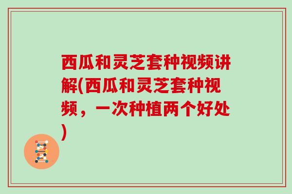 西瓜和灵芝套种视频讲解(西瓜和灵芝套种视频，一次种植两个好处)