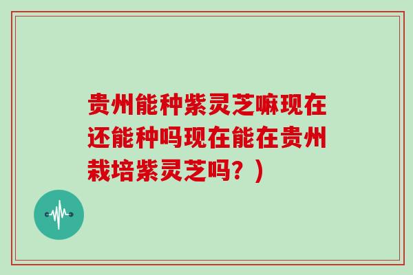贵州能种紫灵芝嘛现在还能种吗现在能在贵州栽培紫灵芝吗？)