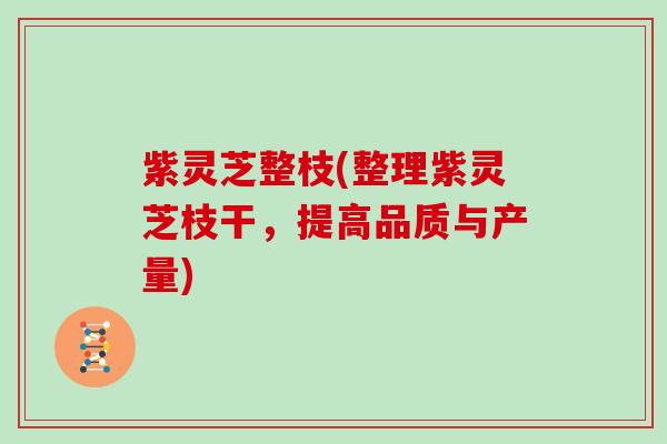 紫灵芝整枝(整理紫灵芝枝干，提高品质与产量)