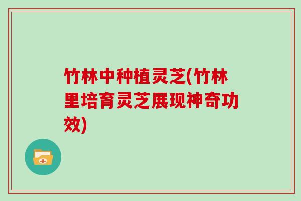 竹林中种植灵芝(竹林里培育灵芝展现神奇功效)