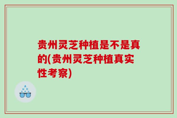 贵州灵芝种植是不是真的(贵州灵芝种植真实性考察)