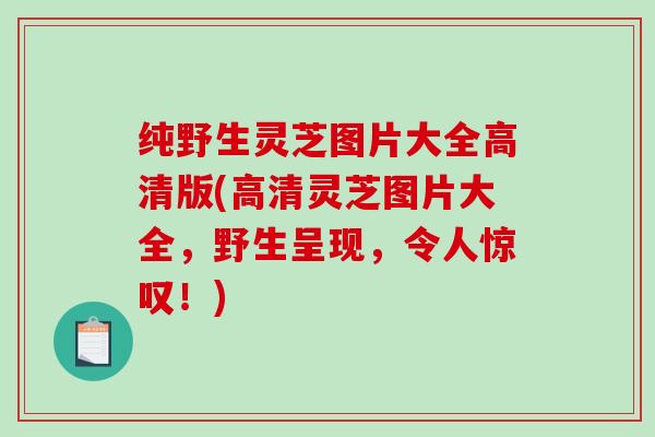 纯野生灵芝图片大全高清版(高清灵芝图片大全，野生呈现，令人惊叹！)