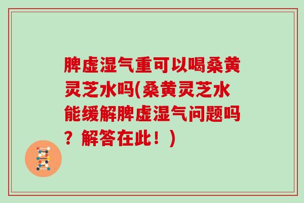 脾虚湿气重可以喝桑黄灵芝水吗(桑黄灵芝水能缓解脾虚湿气问题吗？解答在此！)
