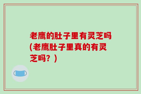 老鹰的肚子里有灵芝吗(老鹰肚子里真的有灵芝吗？)