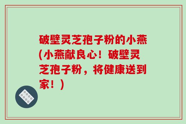 破壁灵芝孢子粉的小燕(小燕献良心！破壁灵芝孢子粉，将健康送到家！)