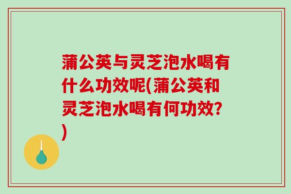 蒲公英与灵芝泡水喝有什么功效呢(蒲公英和灵芝泡水喝有何功效？)