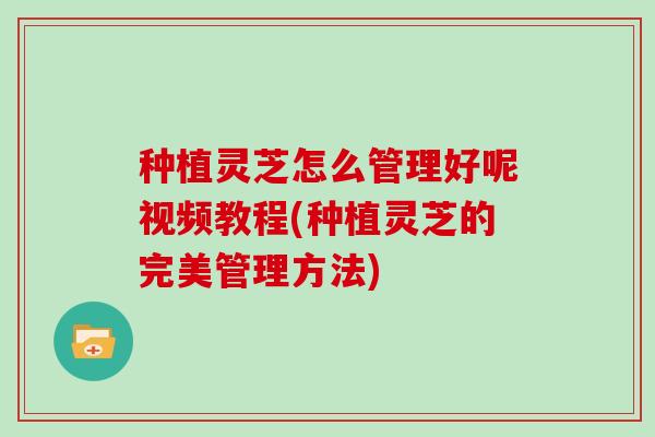 种植灵芝怎么管理好呢视频教程(种植灵芝的完美管理方法)