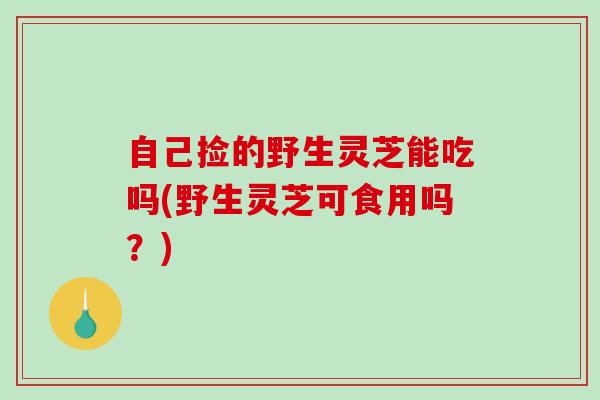 自己捡的野生灵芝能吃吗(野生灵芝可食用吗？)