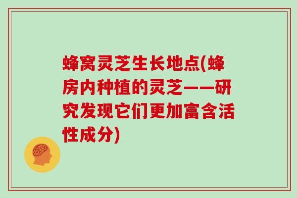 蜂窝灵芝生长地点(蜂房内种植的灵芝——研究发现它们更加富含活性成分)