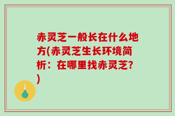 赤灵芝一般长在什么地方(赤灵芝生长环境简析：在哪里找赤灵芝？)