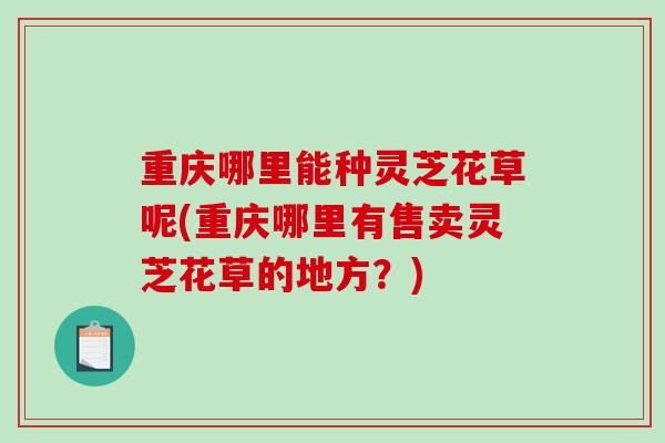 重庆哪里能种灵芝花草呢(重庆哪里有售卖灵芝花草的地方？)