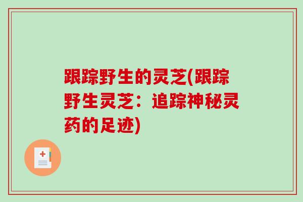 跟踪野生的灵芝(跟踪野生灵芝：追踪神秘灵药的足迹)