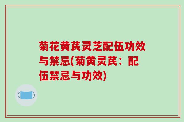 菊花黄芪灵芝配伍功效与禁忌(菊黄灵芪：配伍禁忌与功效)
