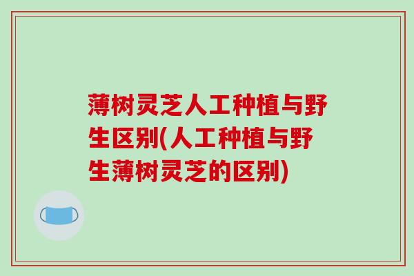 薄树灵芝人工种植与野生区别(人工种植与野生薄树灵芝的区别)