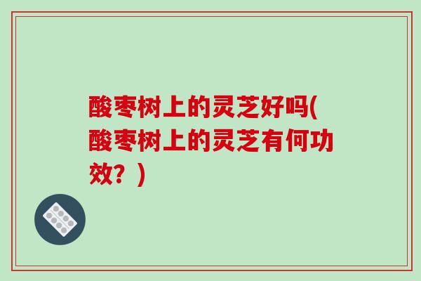 酸枣树上的灵芝好吗(酸枣树上的灵芝有何功效？)