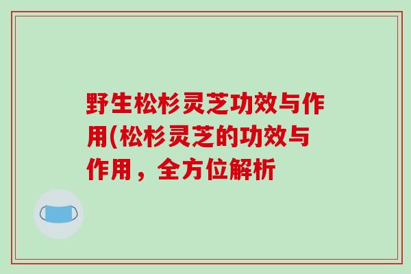 野生松杉灵芝功效与作用(松杉灵芝的功效与作用，全方位解析