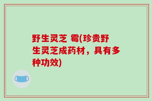 野生灵芝 霉(珍贵野生灵芝成药材，具有多种功效)