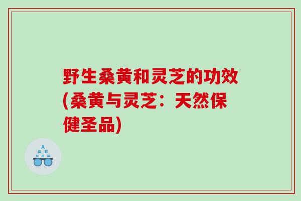 野生桑黄和灵芝的功效(桑黄与灵芝：天然保健圣品)