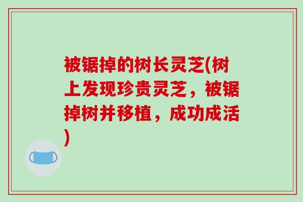 被锯掉的树长灵芝(树上发现珍贵灵芝，被锯掉树并移植，成功成活)