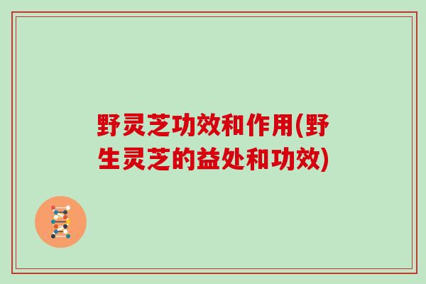 野灵芝功效和作用(野生灵芝的益处和功效)