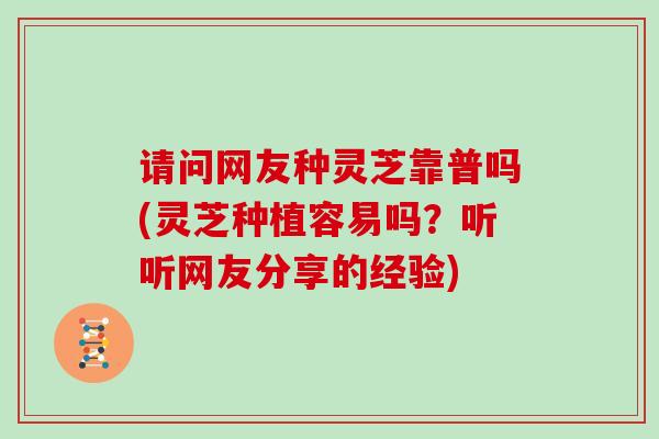 请问网友种灵芝靠普吗(灵芝种植容易吗？听听网友分享的经验)
