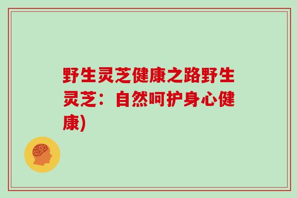 野生灵芝健康之路野生灵芝：自然呵护身心健康)
