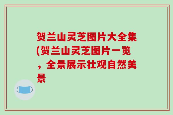 贺兰山灵芝图片大全集(贺兰山灵芝图片一览，全景展示壮观自然美景