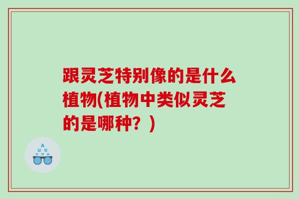 跟灵芝特别像的是什么植物(植物中类似灵芝的是哪种？)