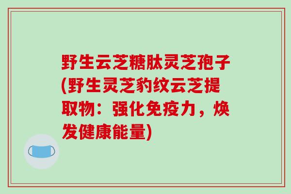 野生云芝糖肽灵芝孢子(野生灵芝豹纹云芝提取物：强化免疫力，焕发健康能量)