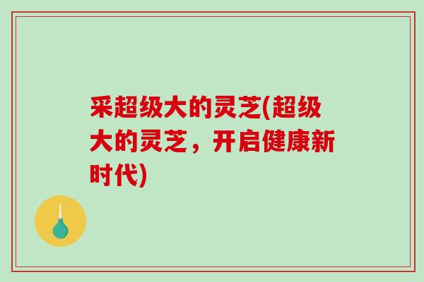 采超级大的灵芝(超级大的灵芝，开启健康新时代)