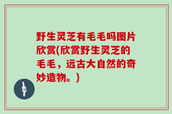 野生灵芝有毛毛吗图片欣赏(欣赏野生灵芝的毛毛，远古大自然的奇妙造物。)