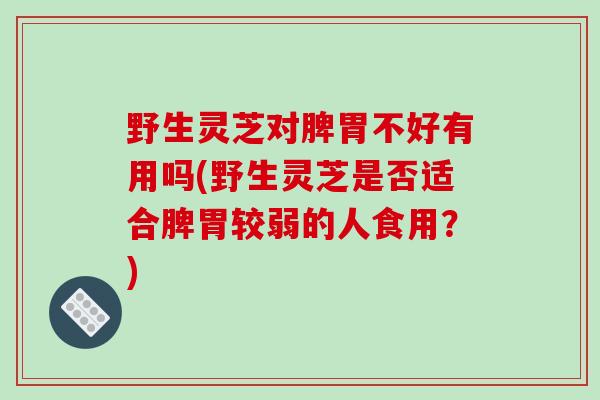 野生灵芝对脾胃不好有用吗(野生灵芝是否适合脾胃较弱的人食用？)