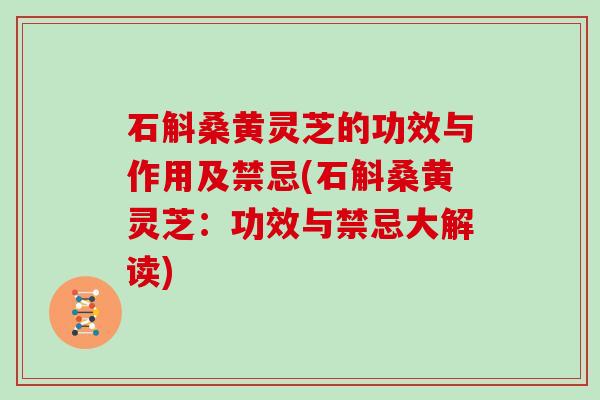 石斛桑黄灵芝的功效与作用及禁忌(石斛桑黄灵芝：功效与禁忌大解读)