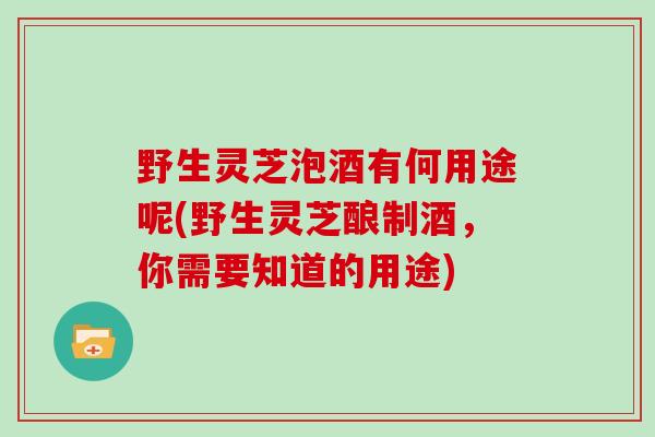 野生灵芝泡酒有何用途呢(野生灵芝酿制酒，你需要知道的用途)