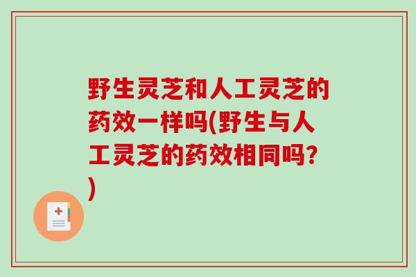 野生灵芝和人工灵芝的一样吗(野生与人工灵芝的相同吗？)