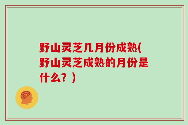 野山灵芝几月份成熟(野山灵芝成熟的月份是什么？)