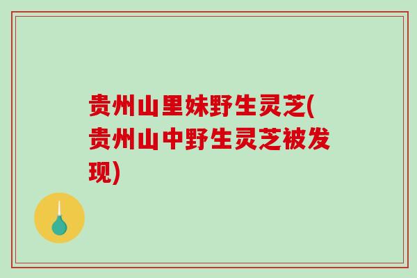 贵州山里妹野生灵芝(贵州山中野生灵芝被发现)