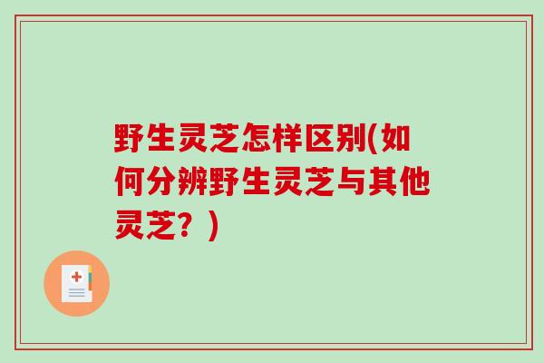 野生灵芝怎样区别(如何分辨野生灵芝与其他灵芝？)