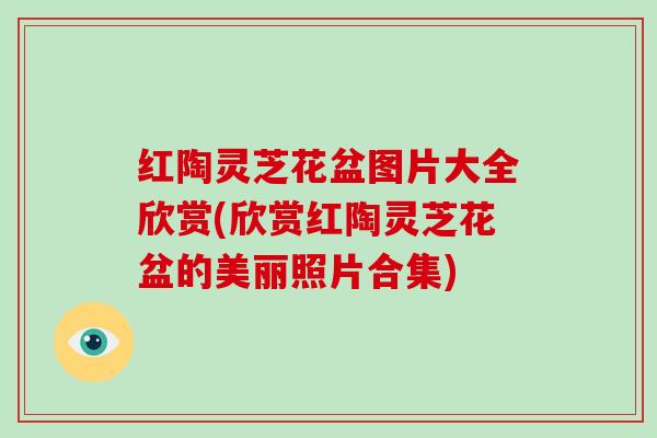 红陶灵芝花盆图片大全欣赏(欣赏红陶灵芝花盆的美丽照片合集)