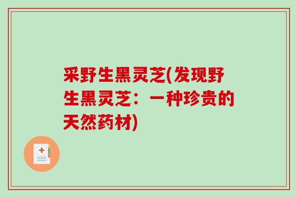 采野生黑灵芝(发现野生黑灵芝：一种珍贵的天然药材)