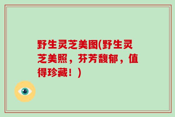 野生灵芝美图(野生灵芝美照，芬芳馥郁，值得珍藏！)